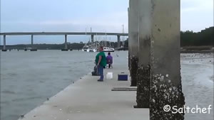 jekyll Creek pier behind Tidelands Nature Center jekyll creek pier at tidelands